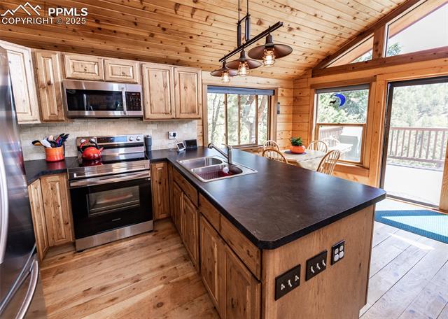 MLS Image for 286  Grosbeak  ,Divide, Colorado