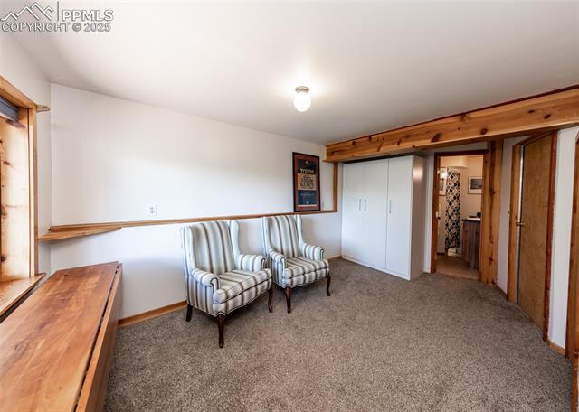 MLS Image for 286  Grosbeak  ,Divide, Colorado