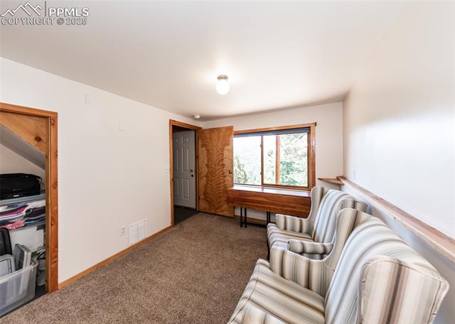 MLS Image for 286  Grosbeak  ,Divide, Colorado