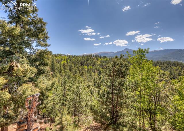 MLS Image for 286  Grosbeak  ,Divide, Colorado