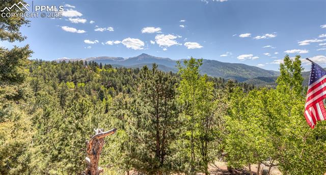 MLS Image for 286  Grosbeak  ,Divide, Colorado