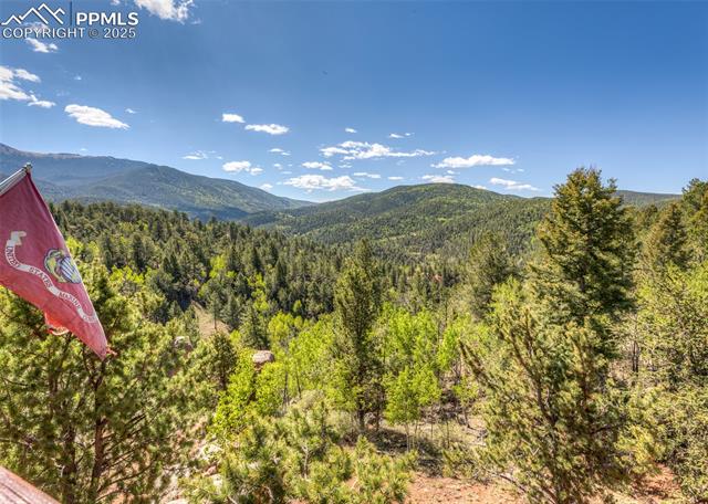 MLS Image for 286  Grosbeak  ,Divide, Colorado