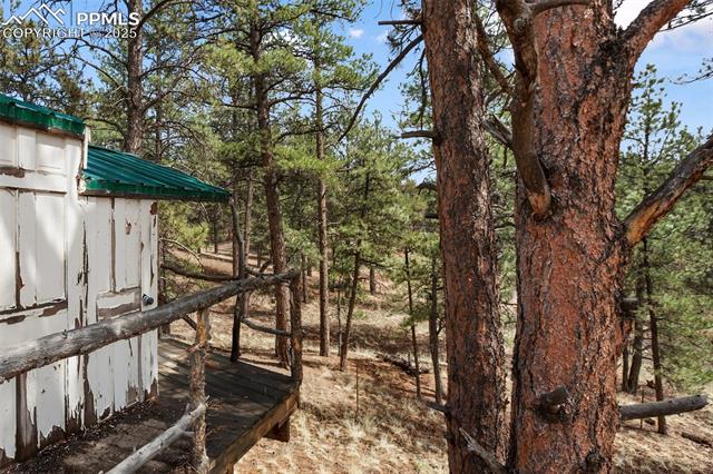 MLS Image for 82  Bradshaw  ,Florissant, Colorado