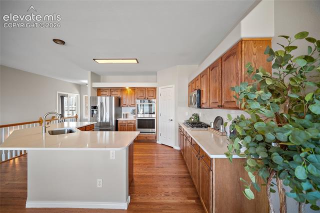 MLS Image for 12328  Mount Baldy  ,Colorado Springs, Colorado
