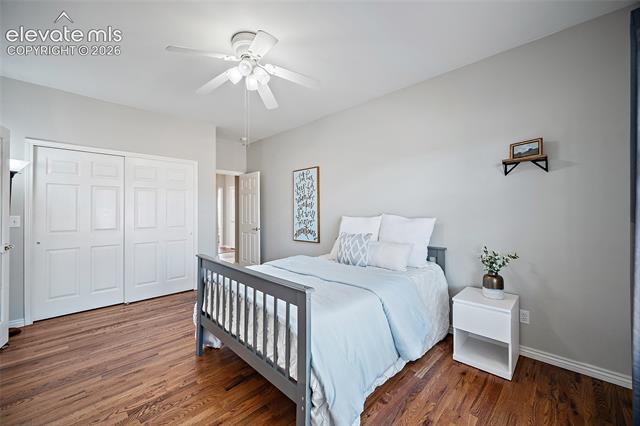 MLS Image for 12328  Mount Baldy  ,Colorado Springs, Colorado