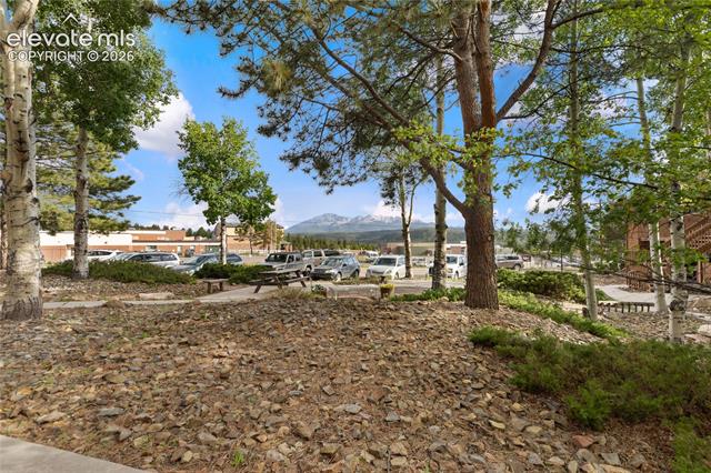 MLS Image for 401  Forest Edge  A5 ,Woodland Park, Colorado