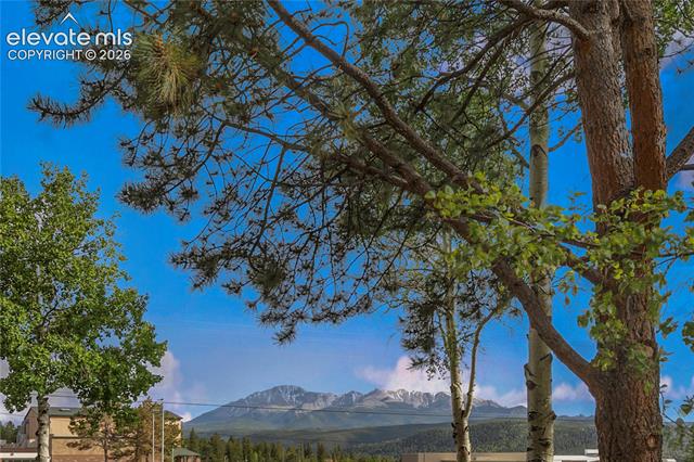 MLS Image for 401  Forest Edge  A5 ,Woodland Park, Colorado