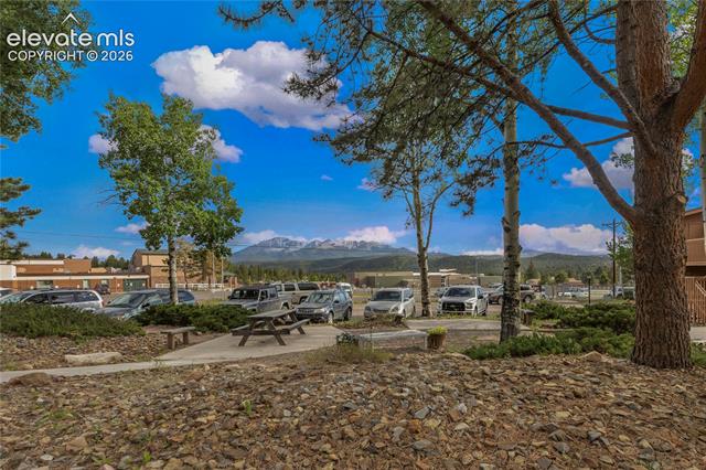 MLS Image for 401  Forest Edge  A5 ,Woodland Park, Colorado