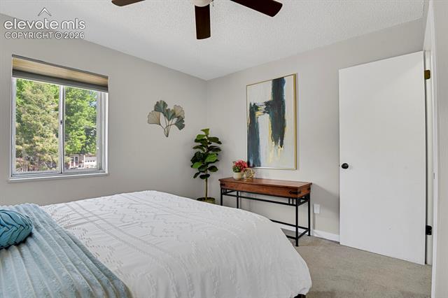 MLS Image for 1019  De La Vista  ,Colorado Springs, Colorado