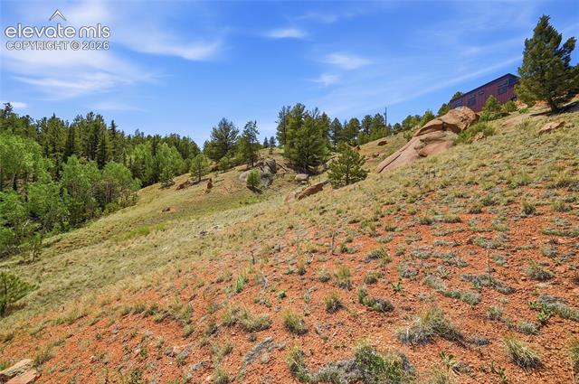 MLS Image for 927  Stonehenge  ,Florissant, Colorado