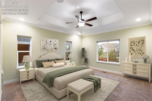 MLS Image for 10419  Odin  ,Colorado Springs, Colorado