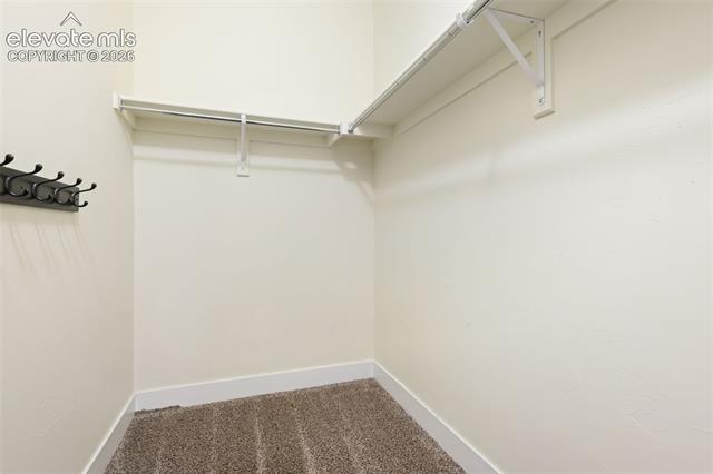 MLS Image for 10419  Odin  ,Colorado Springs, Colorado