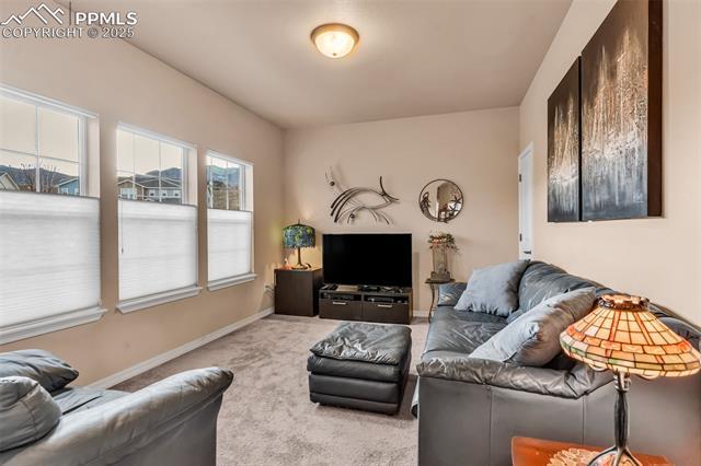 MLS Image for 1634  Nellie  ,Colorado Springs, Colorado