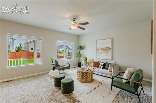 MLS Image for 12742  Winding Glen  ,Peyton, Colorado