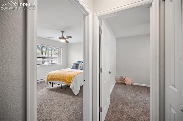 MLS Image for 749  Alexander  C ,Colorado Springs, Colorado