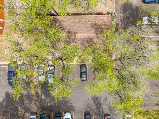 MLS Image for 749  Alexander  C ,Colorado Springs, Colorado