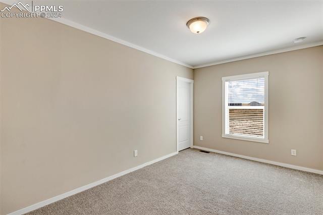 MLS Image for 6809  Halex  ,Colorado Springs, Colorado