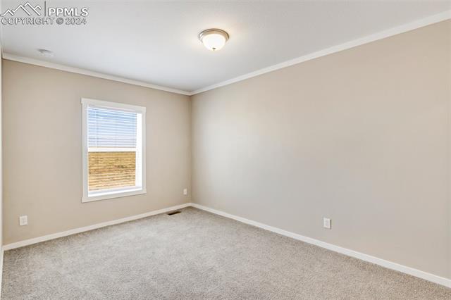 MLS Image for 6809  Halex  ,Colorado Springs, Colorado