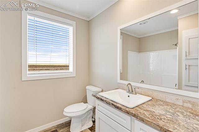 MLS Image for 6809  Halex  ,Colorado Springs, Colorado