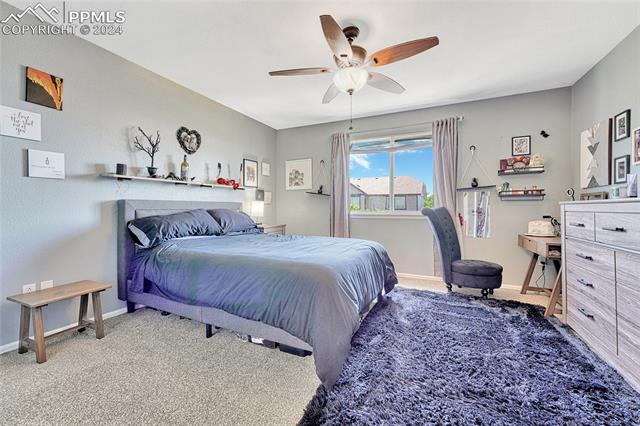 MLS Image for 7731  Mountain Laurel  ,Colorado Springs, Colorado