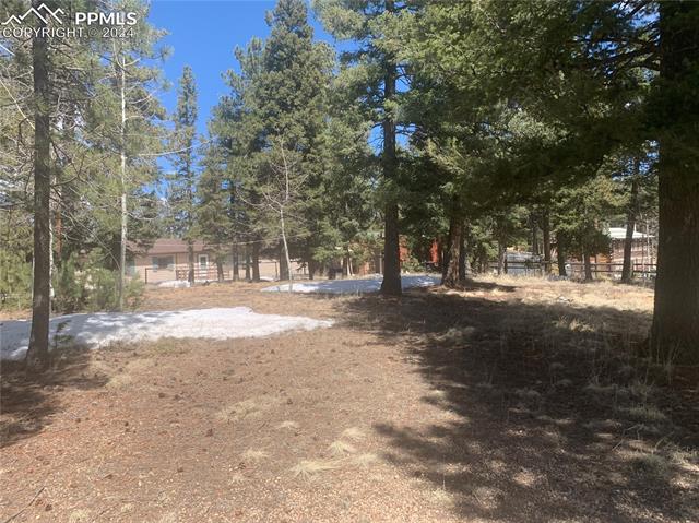 MLS Image for 23  Narcissus  ,Woodland Park, Colorado