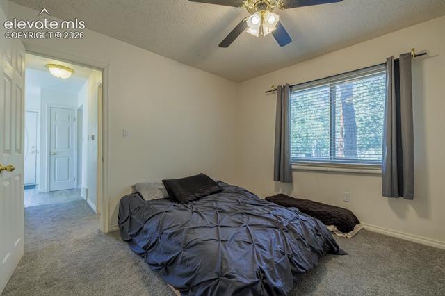 MLS Image for 419 W Lake  ,Divide, Colorado