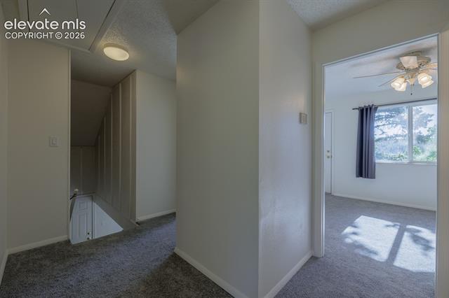 MLS Image for 419 W Lake  ,Divide, Colorado