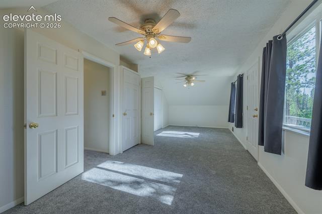 MLS Image for 419 W Lake  ,Divide, Colorado