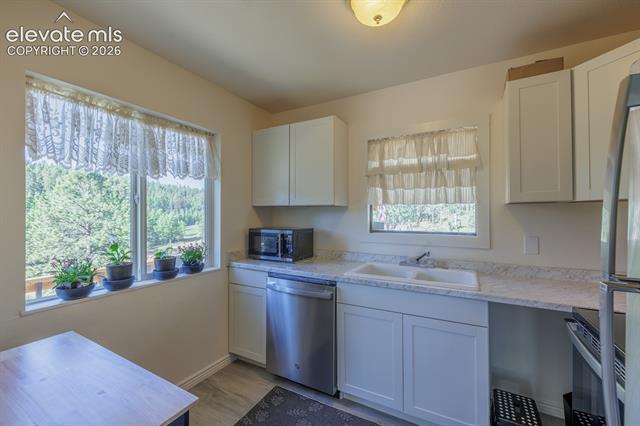 MLS Image for 419 W Lake  ,Divide, Colorado