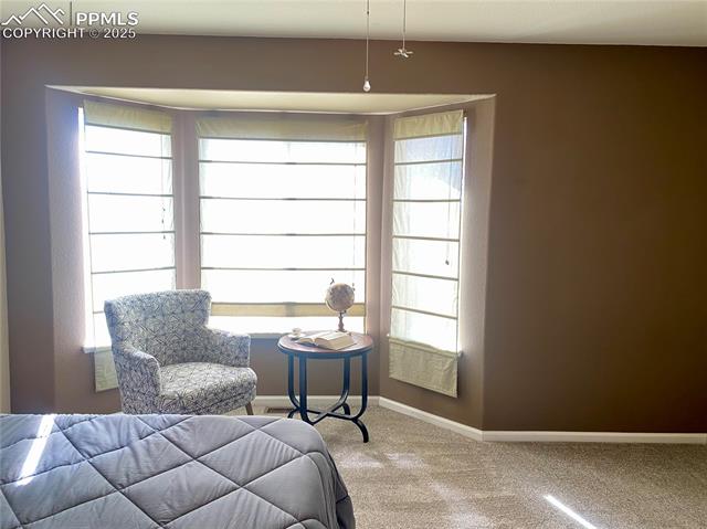 MLS Image for 4923  Turning Leaf  ,Colorado Springs, Colorado