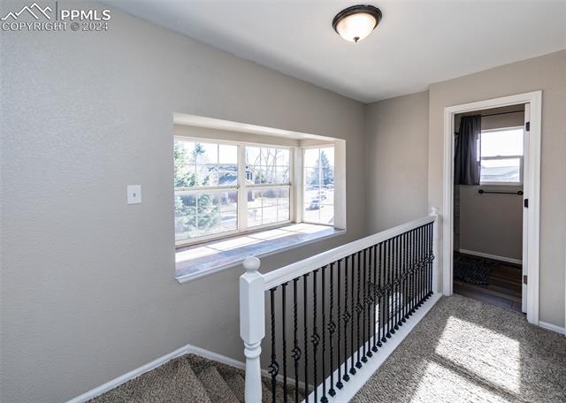 MLS Image for 2360  Ambleside  ,Colorado Springs, Colorado