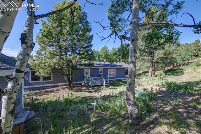 MLS Image for 451  Fern  ,Woodland Park, Colorado