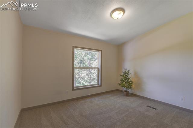 MLS Image for 451  Fern  ,Woodland Park, Colorado