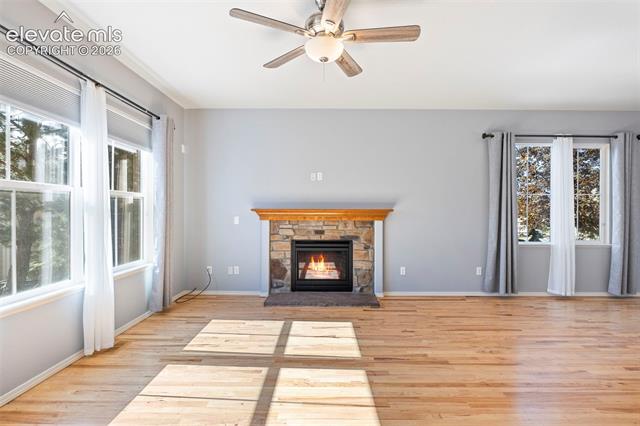 MLS Image for 7891  Silver Birch  ,Colorado Springs, Colorado