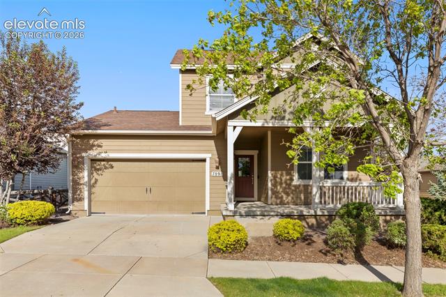 MLS Image for 7891  Silver Birch  ,Colorado Springs, Colorado