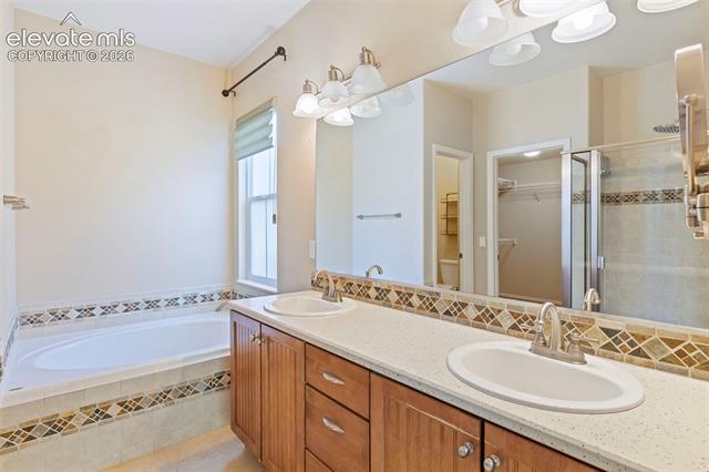 MLS Image for 7891  Silver Birch  ,Colorado Springs, Colorado