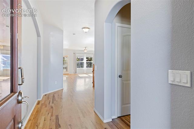 MLS Image for 7891  Silver Birch  ,Colorado Springs, Colorado