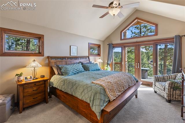 MLS Image for 80  Feldspar  ,Florissant, Colorado