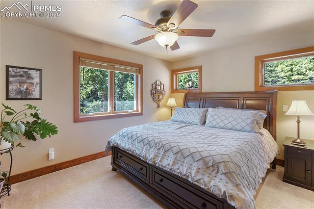MLS Image for 80  Feldspar  ,Florissant, Colorado