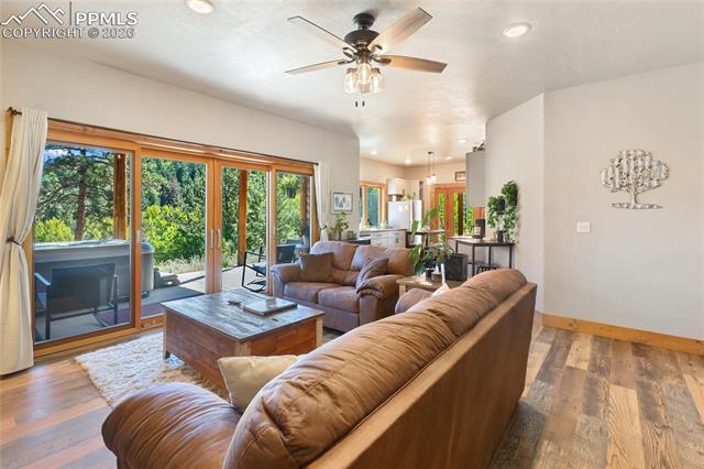 MLS Image for 80  Feldspar  ,Florissant, Colorado