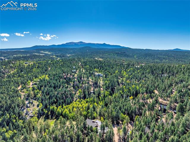 MLS Image for 80  Feldspar  ,Florissant, Colorado