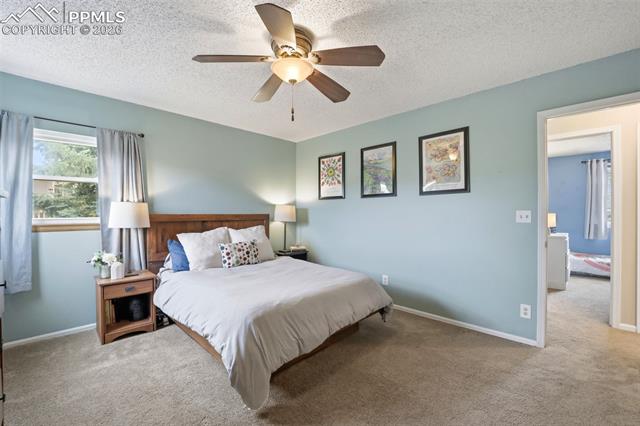 MLS Image for 6732  Fredrick  ,Colorado Springs, Colorado