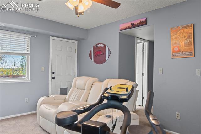 MLS Image for 425  Blossom Field  ,Fountain, Colorado