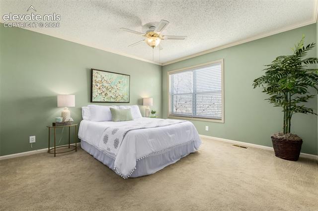 MLS Image for 3167  Hearthridge   ,Colorado Springs, Colorado