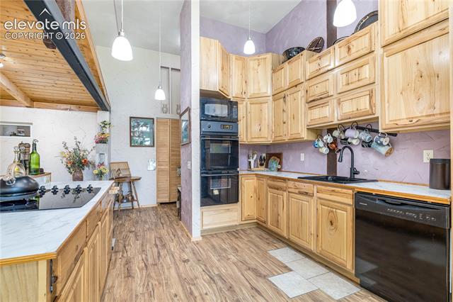 MLS Image for 2493  County Road 782  ,Woodland Park, Colorado
