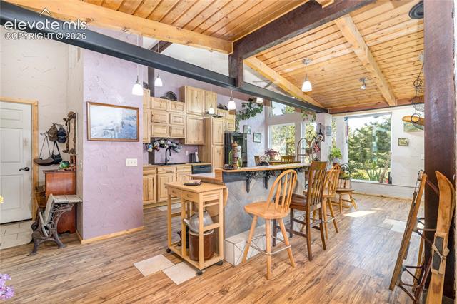 MLS Image for 2493  County Road 782  ,Woodland Park, Colorado
