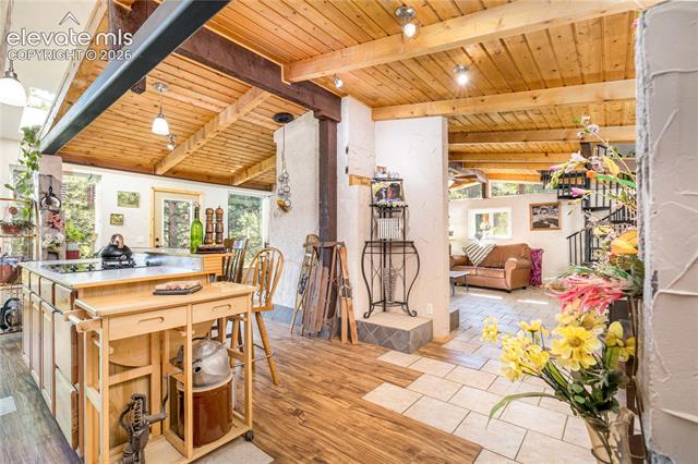 MLS Image for 2493  County Road 782  ,Woodland Park, Colorado