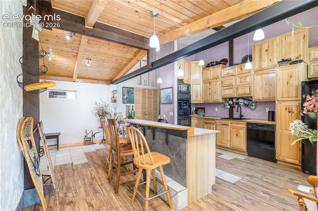MLS Image for 2493  County Road 782  ,Woodland Park, Colorado