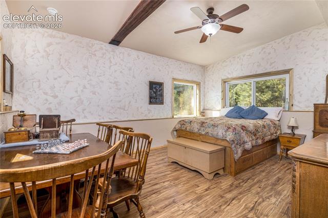 MLS Image for 2493  County Road 782  ,Woodland Park, Colorado