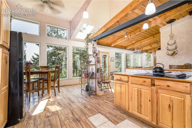 MLS Image for 2493  County Road 782  ,Woodland Park, Colorado